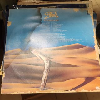 Disco LP in Vinile 33giri