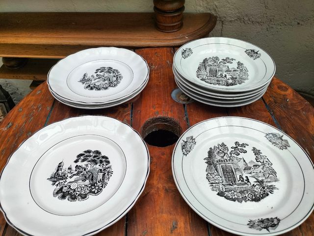 Lote platos antiguos