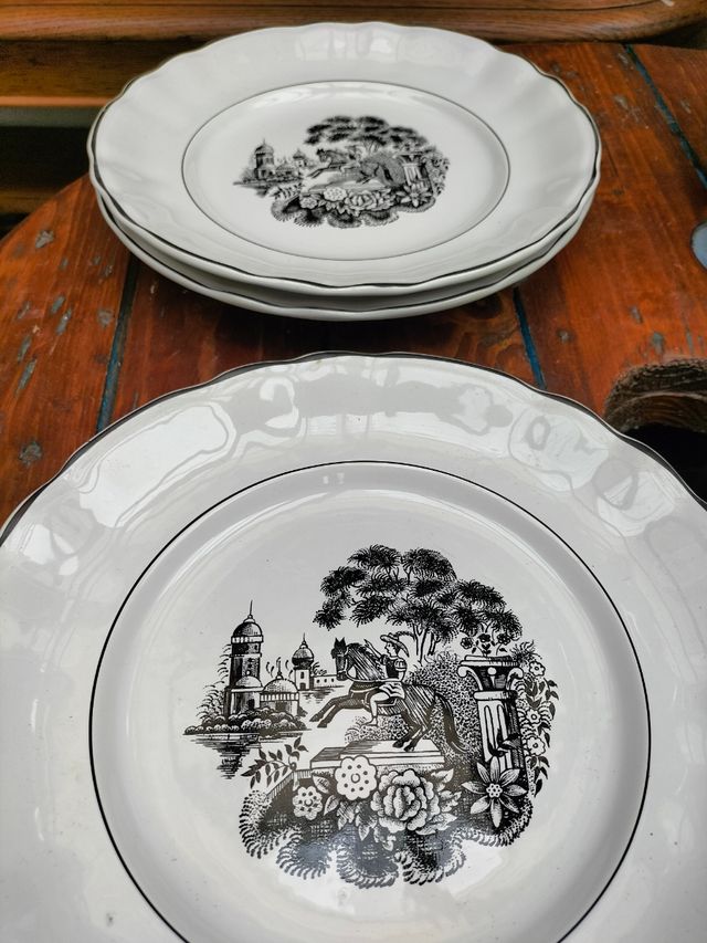 Lote platos antiguos