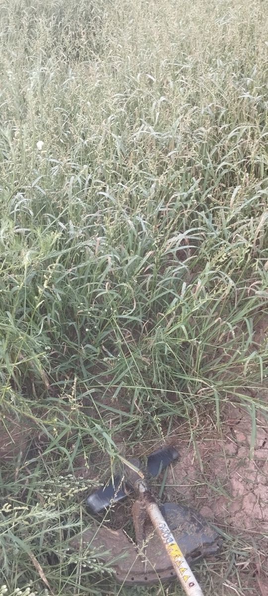 Trabajos de desbrozadora