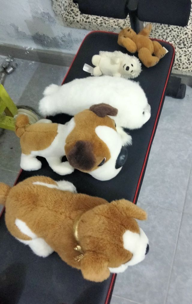 Lote de peluches