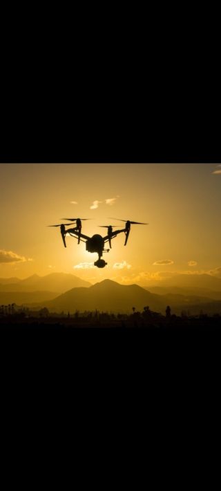 Piloto de Dron Profesional.