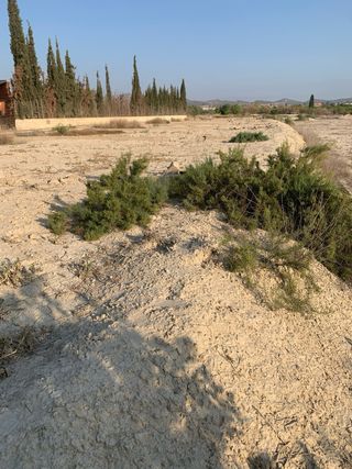 Terreno en venta