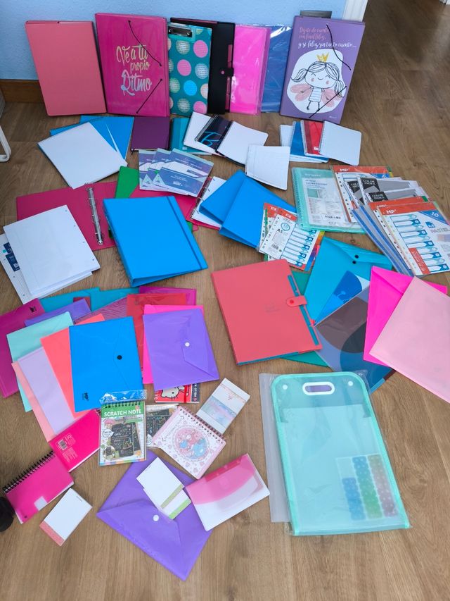 Lote carpetas. Cuadernos. Blocks.Colegio