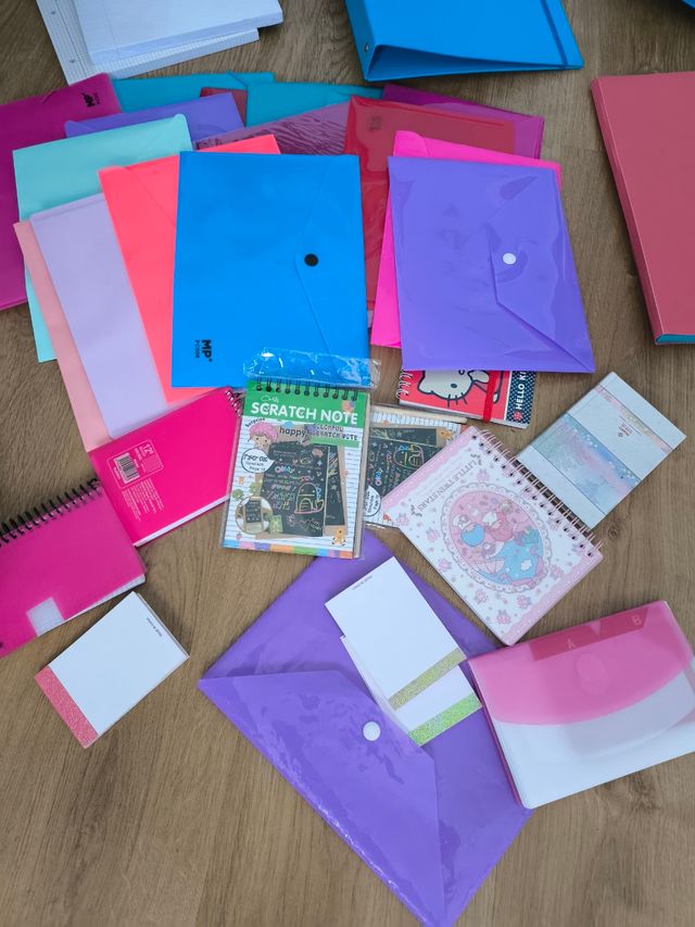 Lote carpetas. Cuadernos. Blocks.Colegio