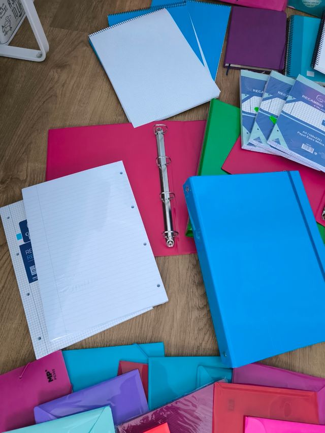 Lote carpetas. Cuadernos. Blocks.Colegio