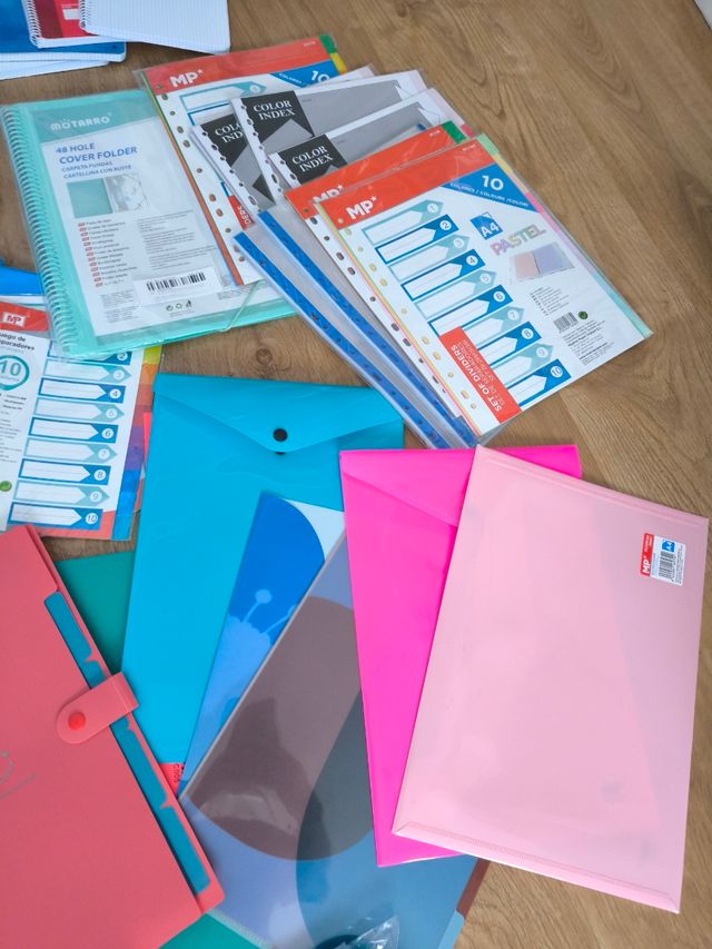 Lote carpetas. Cuadernos. Blocks.Colegio