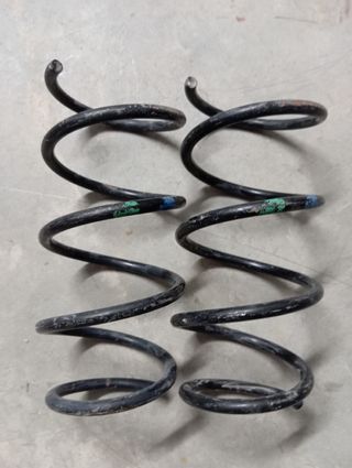 Muelles Renault Clio sport 182