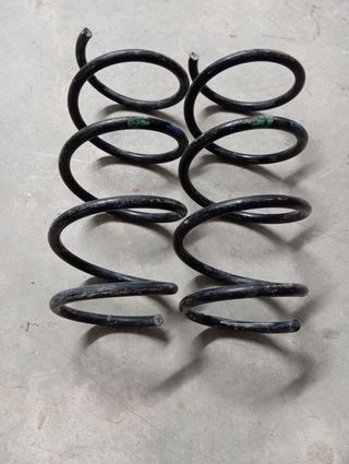 Muelles Renault Clio sport 182