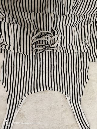 Mono verano 