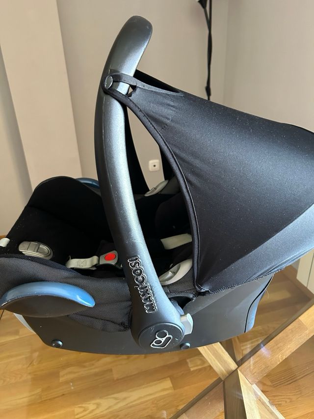 Carro completo bugaboo el modelo buffalo