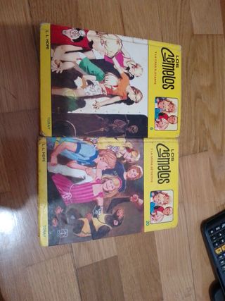 Lote dos libros "Los gemelos" antiguos