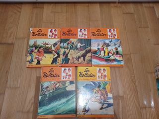 Lote 15 libros "Los Hollister"