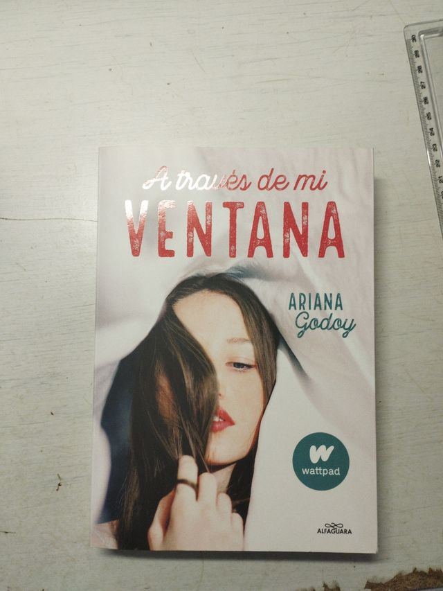 Libro A través de mi ventana.