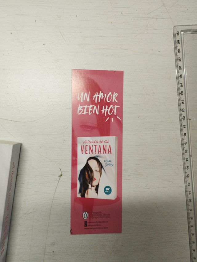 Libro A través de mi ventana.