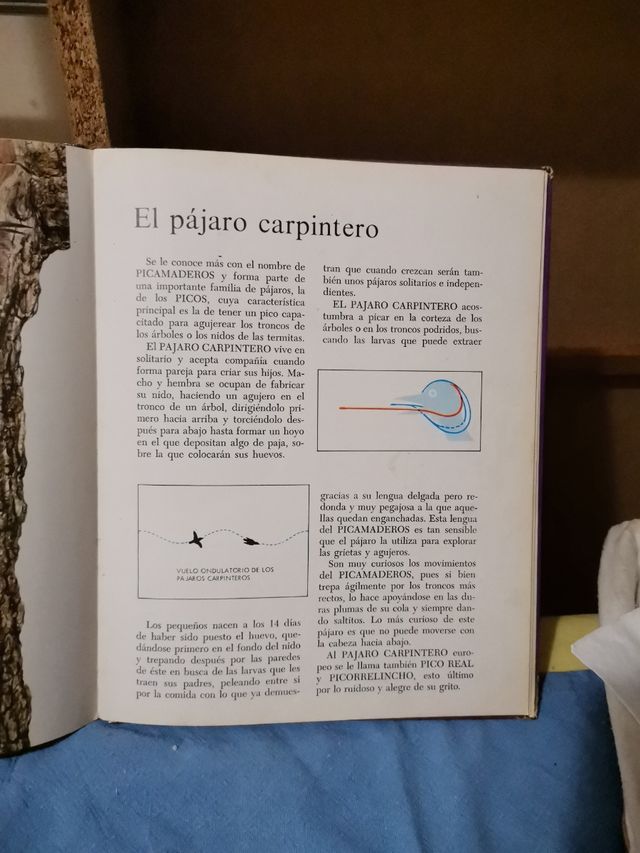 Animales del bosque Ed. Roma 1976