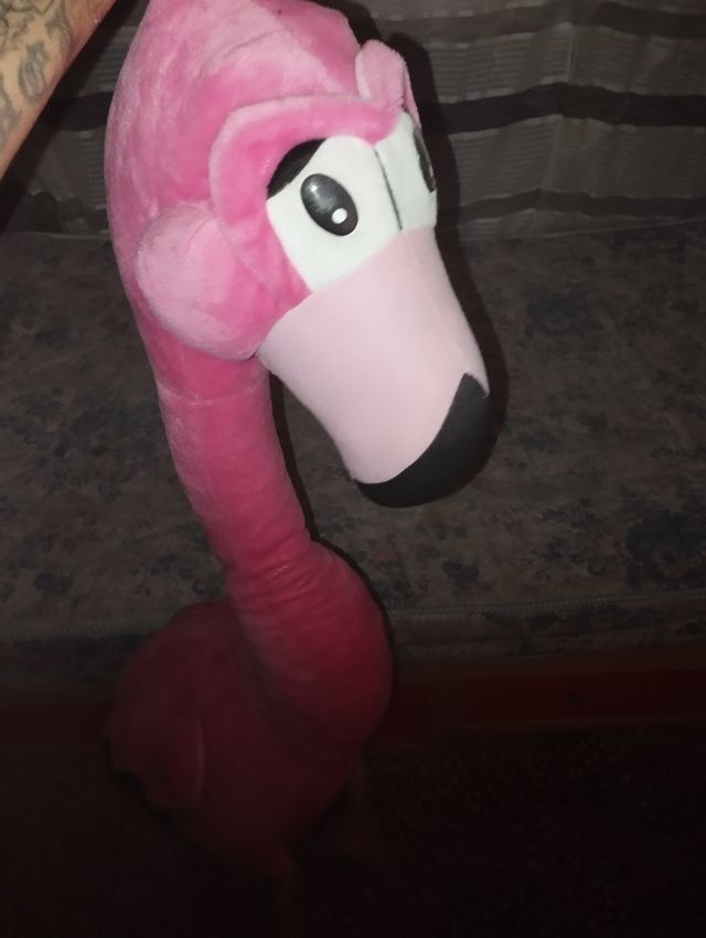 Peluche flamenco 🦩
