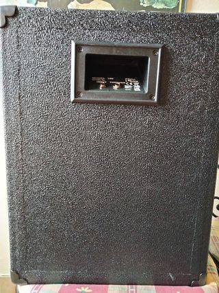 Pareja de...Cajas de sonido de dos vías