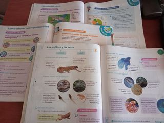 Conocimiento del Medio 3 primaria. Santilla