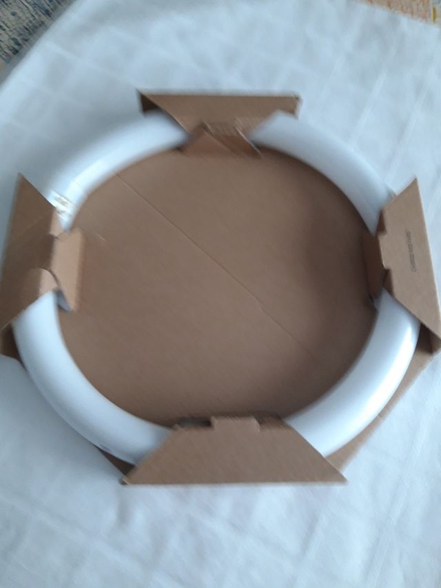  Coppia di luce al neon 