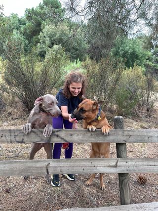 Paseos con los perros 🐾