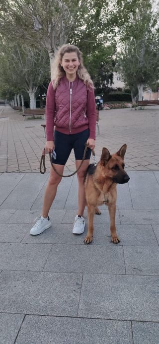 Paseos con los perros 🐾