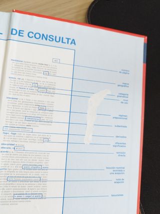 Diccionario Anaya Secundaria y Bach