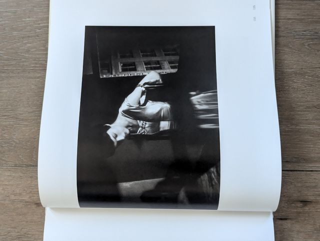 The heart is a sleepy beauty Wim wenders