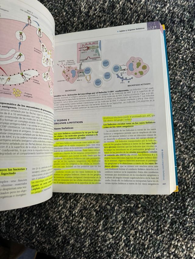 Histología texto y Atlas color con Biología