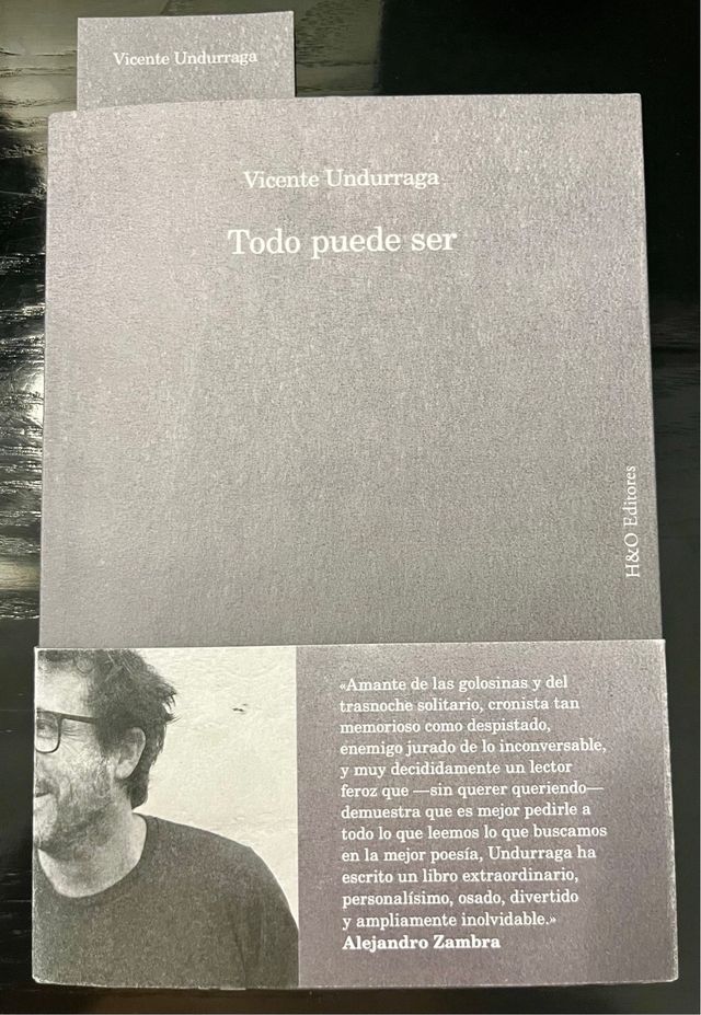 Libro TODO PUEDE SER de Vicente Undurraga