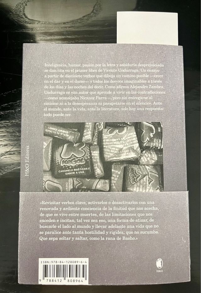 Libro TODO PUEDE SER de Vicente Undurraga