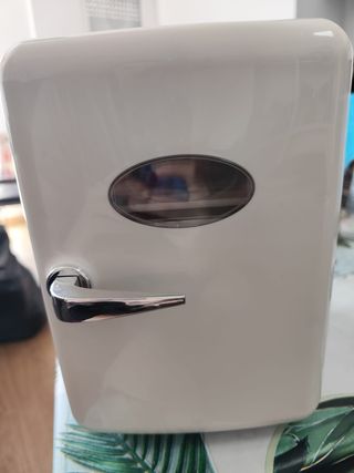 Mini nevera