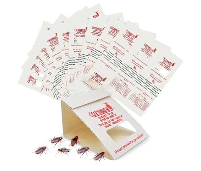 Feromonas para cucarachas