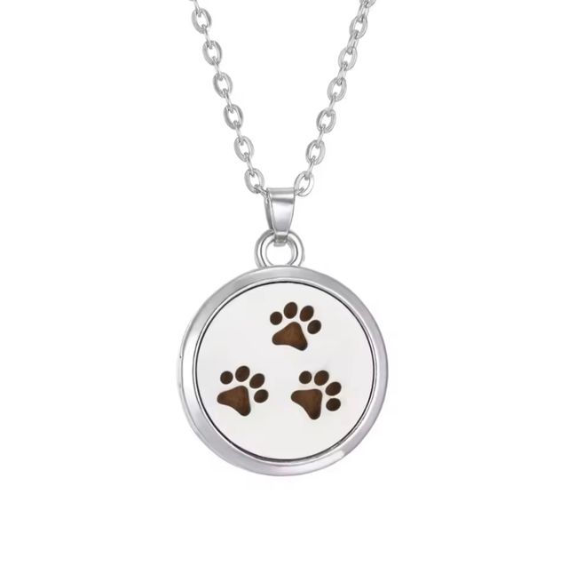 Colgante Aromaterapia Acero Inoxidable.