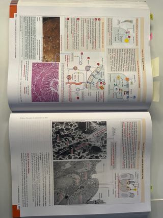 Histologia y biologia celular - Kierszembaum