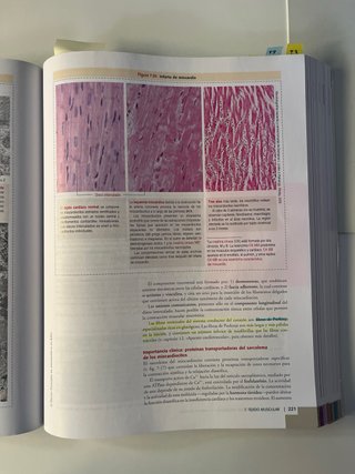 Histologia y biologia celular - Kierszembaum