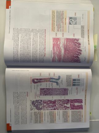 Histologia y biologia celular - Kierszembaum