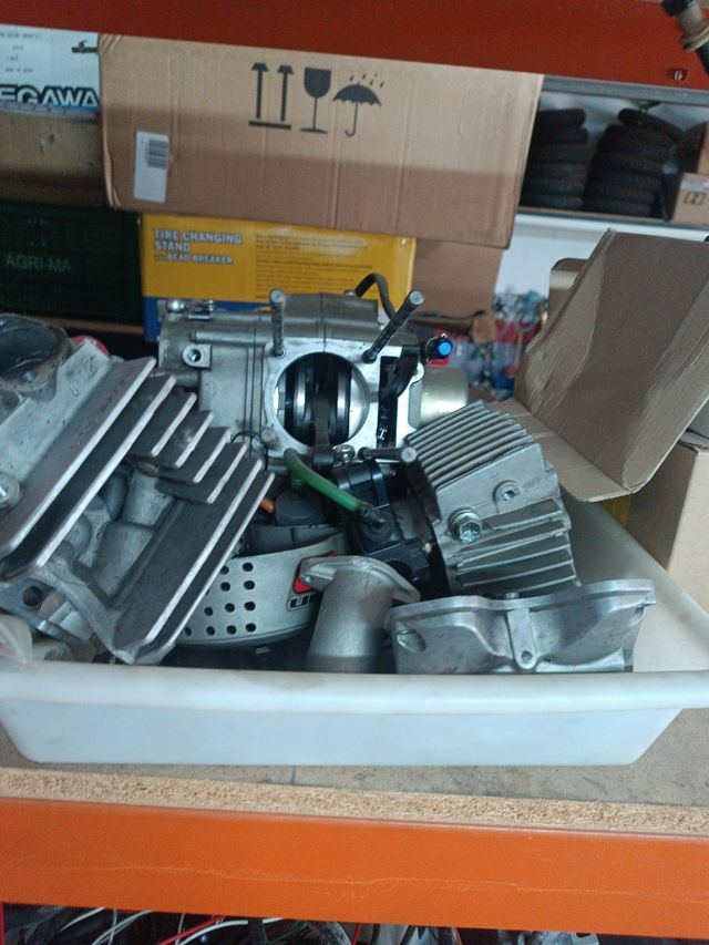 Despiece Motor Daytona Anima 150 / 190