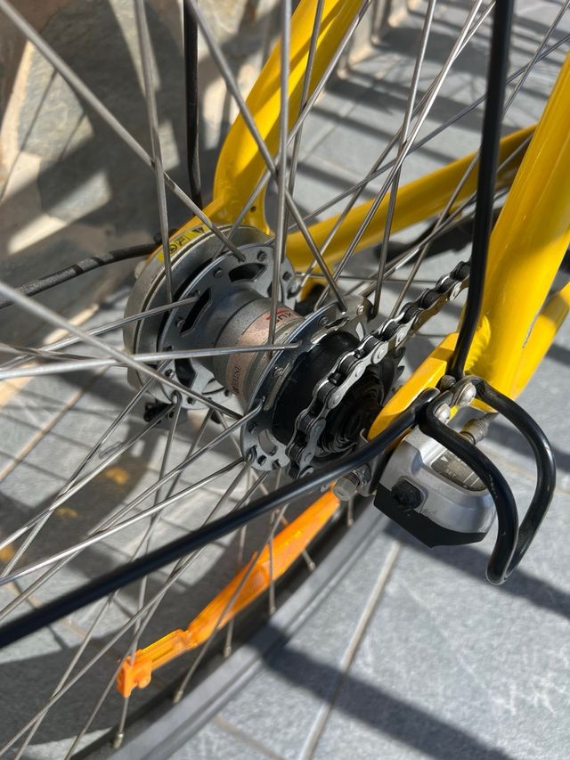 Bicicleta de paseo OFO