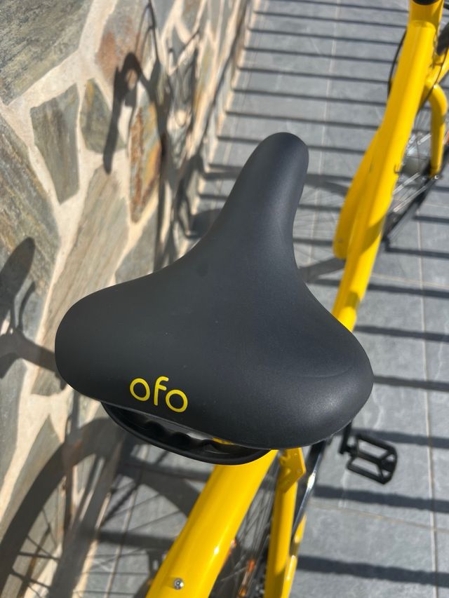 Bicicleta de paseo OFO