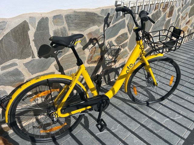 Bicicleta de paseo OFO