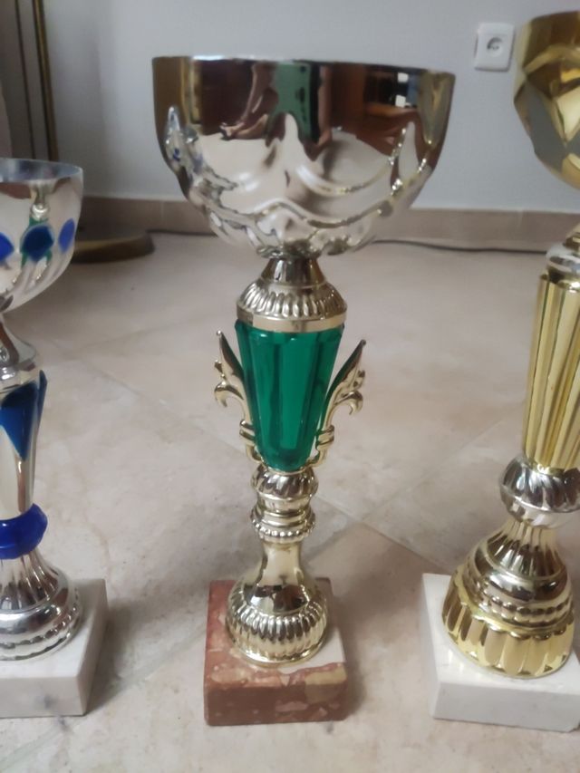 lote 5 trofeos