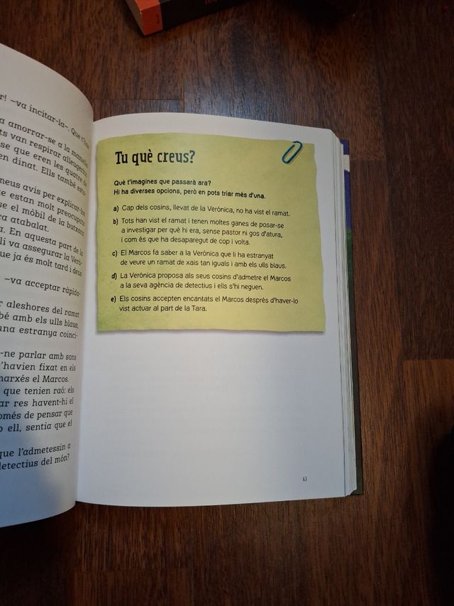 Cosins S.A 4, el ramat fantasma