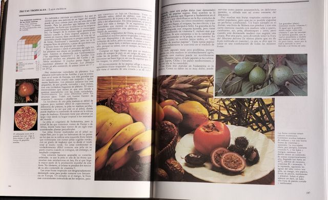 Lote 5 libros alimentación y gastronomia