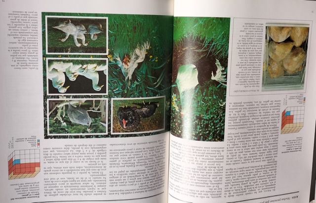 Lote 5 libros alimentación y gastronomia