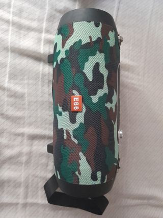 Altavoz E66