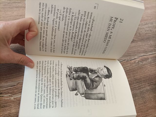 Alas de mosca para Ángel. Anaya