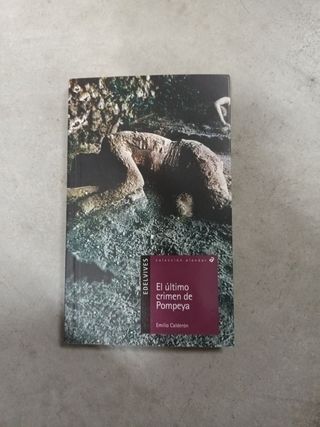 Libro el sí de las niñas