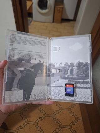 The unicorn princess nintendo switch