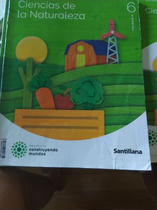 Libro de ccnn, edición Santillana,de 6°